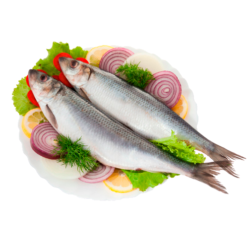 Сельдь тихоокеанская жирная пряного посола