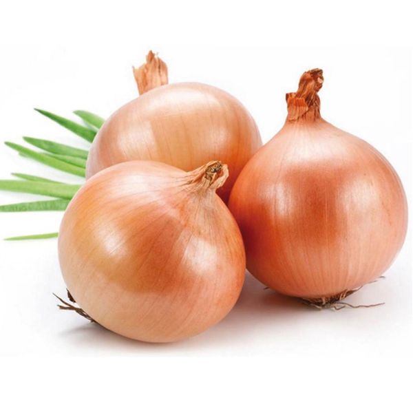 Лук репчатый 1 кг фасов.