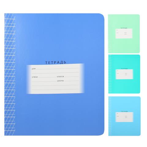 Тетрадь 12л., линия БиДЖИ микс, эконом, КЛ