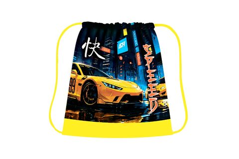 Сумка для смен. Обуви СТАЙЛИ РАЙСЕР, арт. СДС-3 , КЛ