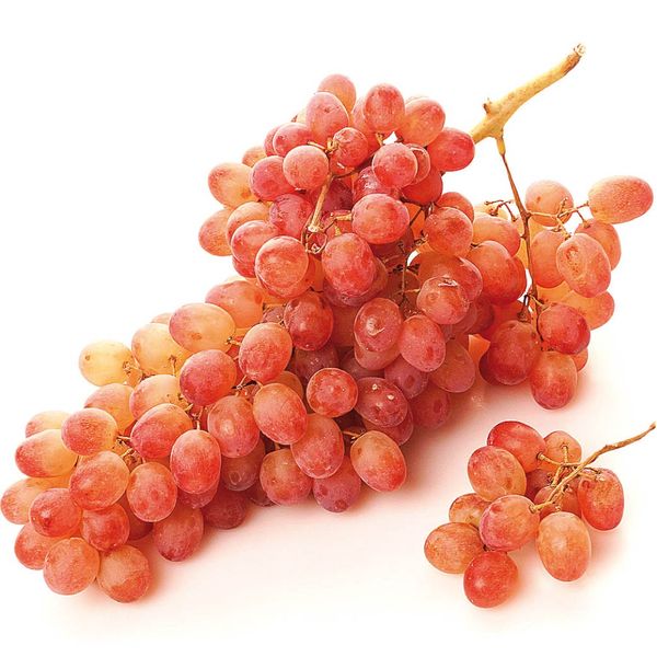 Виноград Киш Миш красный