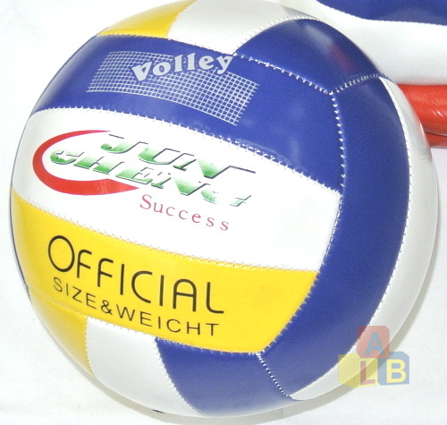 Мяч волейбольный, д. 20 см., арт. 25711-11, Авис