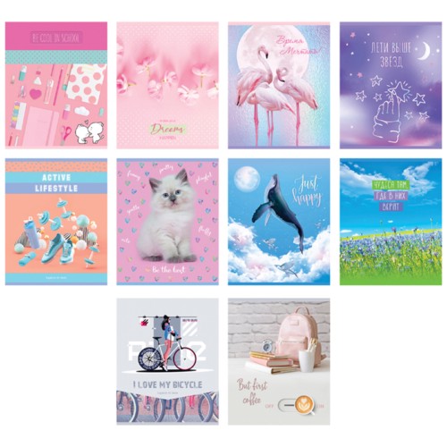 Тетрадь 48 л. линия БиДЖИ МИКС 10 Девочки, арт. 10408, КЛ