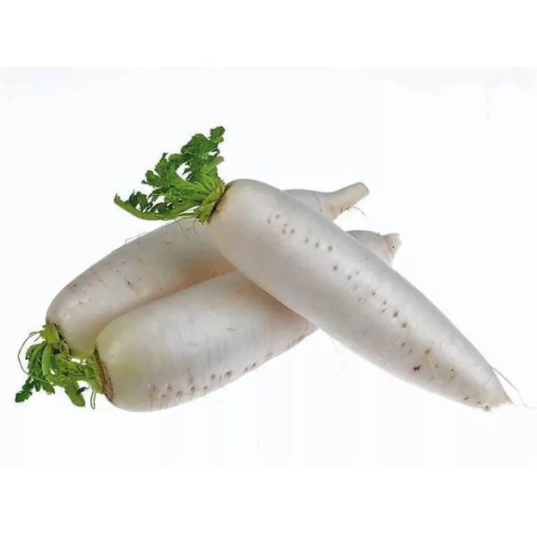 Редька Дайкон