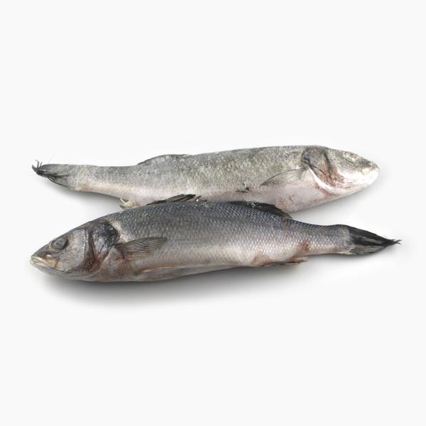 Сибасс замороженный