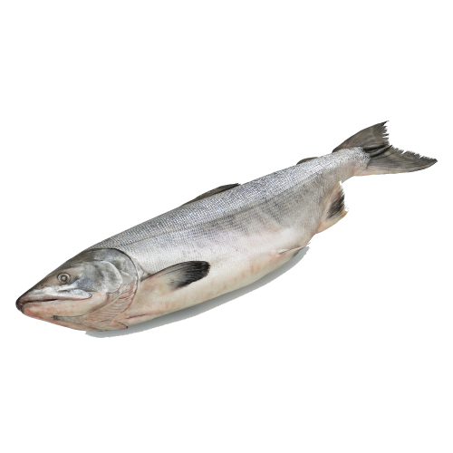 Горбуша с/м