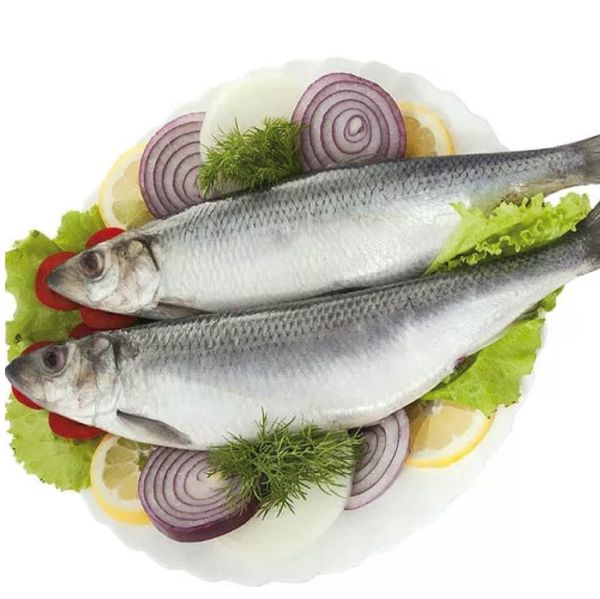 Сельдь тихоокеанская жирная слабосоленая