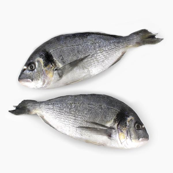 Дорадо всежемороженный