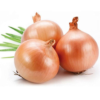 Лук репчатый 1 кг фасов.