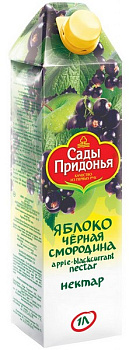 Сок САДЫ ПРИДОНЬЯ яблоко черная смородина 1л