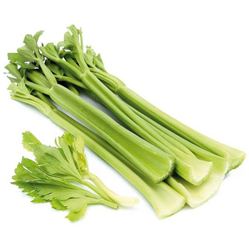 Сельдерей стебель