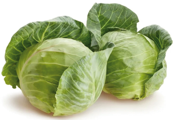 Капуста св.урожай