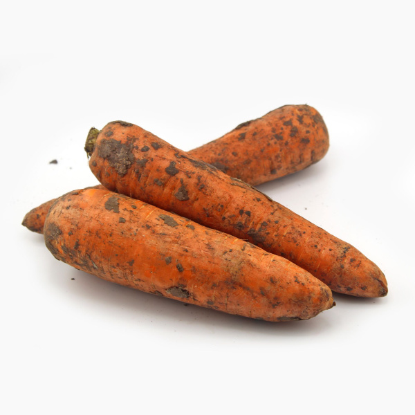 Морковь Россия