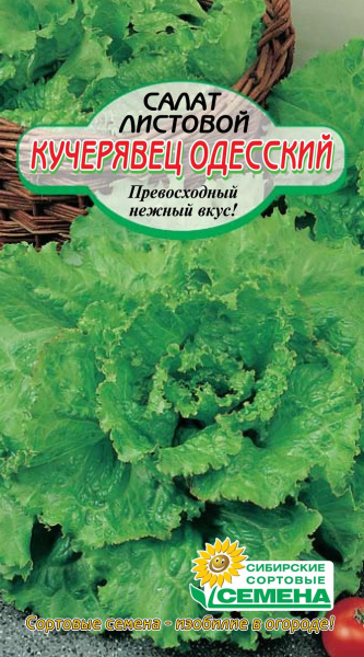 Семена Салат ССС Одесский кучерявец 0,5гр Р арт.СС001445