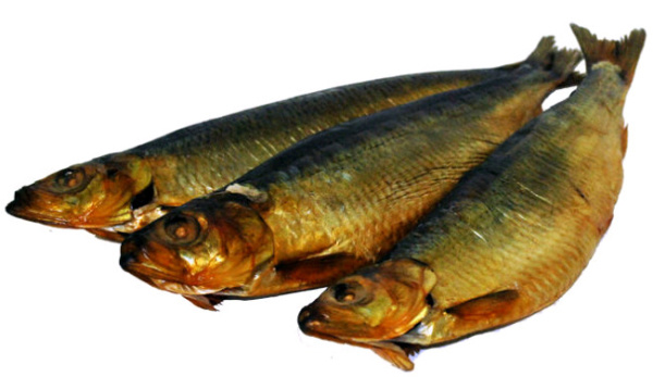 Сельдь олюторская х/к