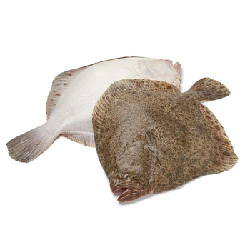 Камбала с/м