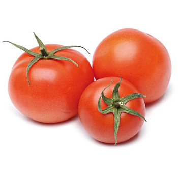 Помидоры красные
